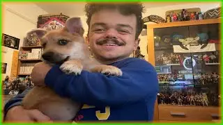 My Youtube setup room tour!! Featuring a very special guest!!