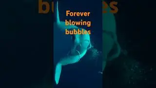 Enchanting Beluga Whale Blows Bubbles