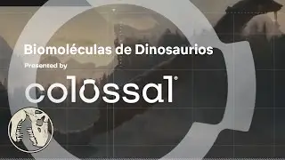 Colossal seeks dinosaur biomolecules