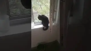Утро #котят 5#сентября