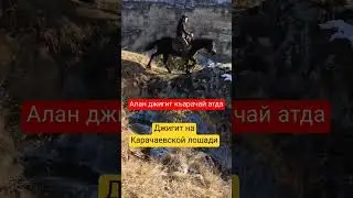 джигиты аланы и Карачаевские лошади #балкарцы #кавказ #карачаевцы #горы #аланы