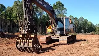 Clearing To Get The New Pond Site Ready
