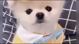 С наступающим новым годом