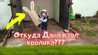 Новый питомец великан! Даня едет за кроликами.