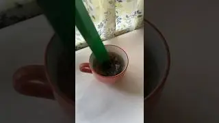 Как правильно угощать гостей! 
