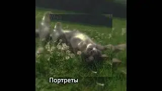 ♪♪||Плейлист моих любимых песен|| часть 1 ||~Ускоренные песни~||♪♪