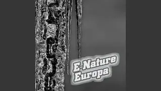 Silent Nature 2004