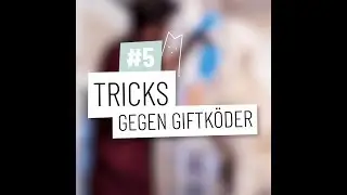 Tipp der Woche - 5 Tipps gegen Giftköder