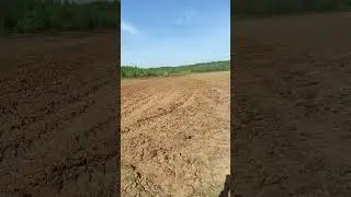 фрезерование фрезой ФБН1.5 и трактор МТЗ 80 с мостом газ 66 под картофель