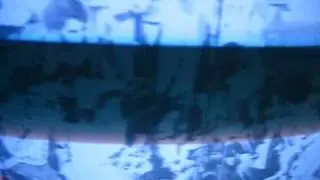 Wegayehu Negatu on ETV2