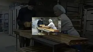 Трудовые мигранты 