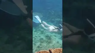 The Sea is My Love