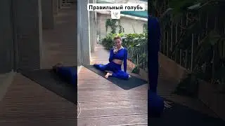 Поза голубя здорового человека #yogaspb #йогасраей