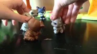 LPS Summer Paradise: Episode 1 (The New Girl)