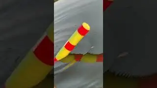 Catfishing with pool noodles