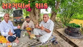 SARAGVA NU SHAAK | VILLAGE COOKING | Tej Ahir Vlog