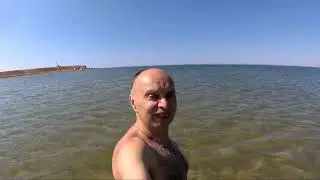 РУЧНЫЕ ДЕЛЬФИНЫ НА НАШЕЙ КОСЕ... 😉