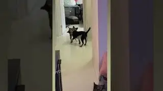смешное видео 2022 funny videos