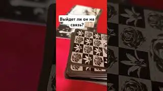 6 июля 2024 г.