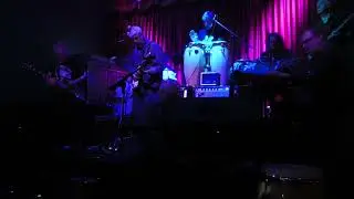 Mushroom performs at the Makeout Room, San Francisco, CA (7/30/2024)