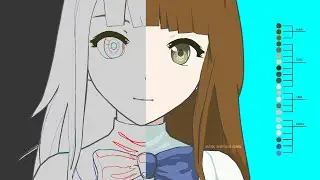ANIMATION and COLORING - Process