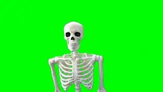 Frantic Skeleton Shaking - Free Horror Green Screen Effect