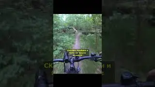 Алкаши Бичи на трейле Скалба