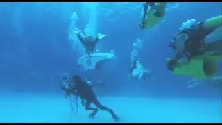 A female diver and her male buddy discover a treasure
