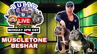 American Bully Podcast | MuscletoneBullys Bashar Daoud Interview