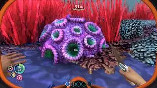 Accrettio Subnautica Let's try - 002 Trying to survive