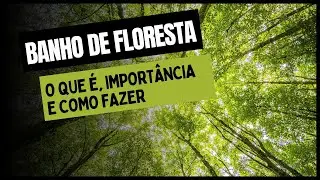 BANHO DE FLORESTA: O Que é, Importância e Como Fazer