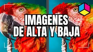 🦜 Imágenes de Alta y Baja Resolución