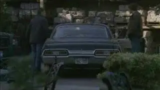 Supernatural Chipmunk Version
