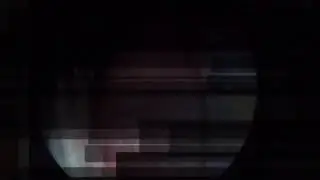 Laringomalácia em cão .