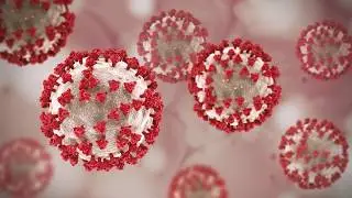 Coronavirus Prevention Tips - English