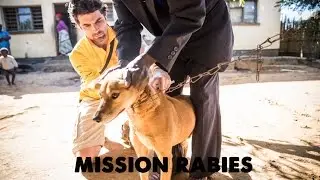 Mission Rabies Malawi