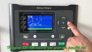 Huaquan 250kw Natural Gas Generator Set