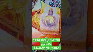 ПОСЛАНИЕ РОДА 🫂❤️🙏#ТАРОЭФИР #СЛИЛИТ #КАРТЫТАРО#ИСЦЕЛЕНИЕДУШИ #благо #РОД #МАТРИЦАСУДЬБЫ #ВЫСШИЕСИЛЫ