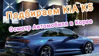 Осмотр KiA K5 В Южной Корее. Купили K5 По выгодной Цене! Очередной Подбор Авто В Корее.