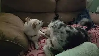 Soul Mates