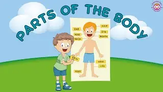 Parts of the Body for Children / Young Learners / ESL Leaners