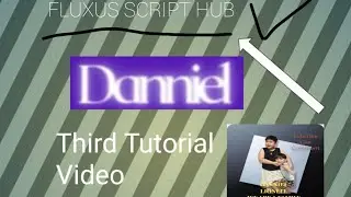 How to Put script in Script hub Fluxus