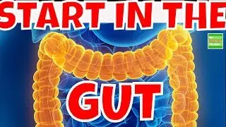 GUT Do You Know Almost Diseases Start In The Gut.