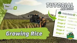 How to Grow Rice - A Farming Simulator 25 Tutorial