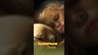 спокойной ночи