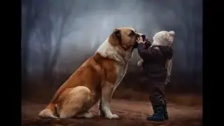 11 cutie animal photos ever