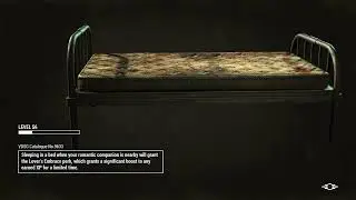 Fallout 4 - Streaming for my friend