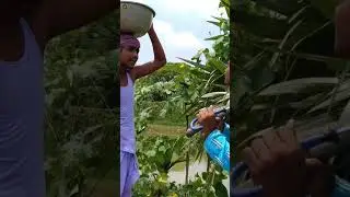 ঝুড়িতে করে কি কেউ জল নিয়ে যায়?🤣 #abakjolpan #ফানিভিডিও #comedyvideo #viralshorts
