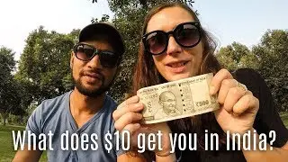 A Day in Delhi on 500 Rupees ($10NZ) - What did we get?