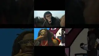 Kingdom of the Planet of the Apes Reaction Trailer #kingdomoftheplanetoftheapes #trailerreaction